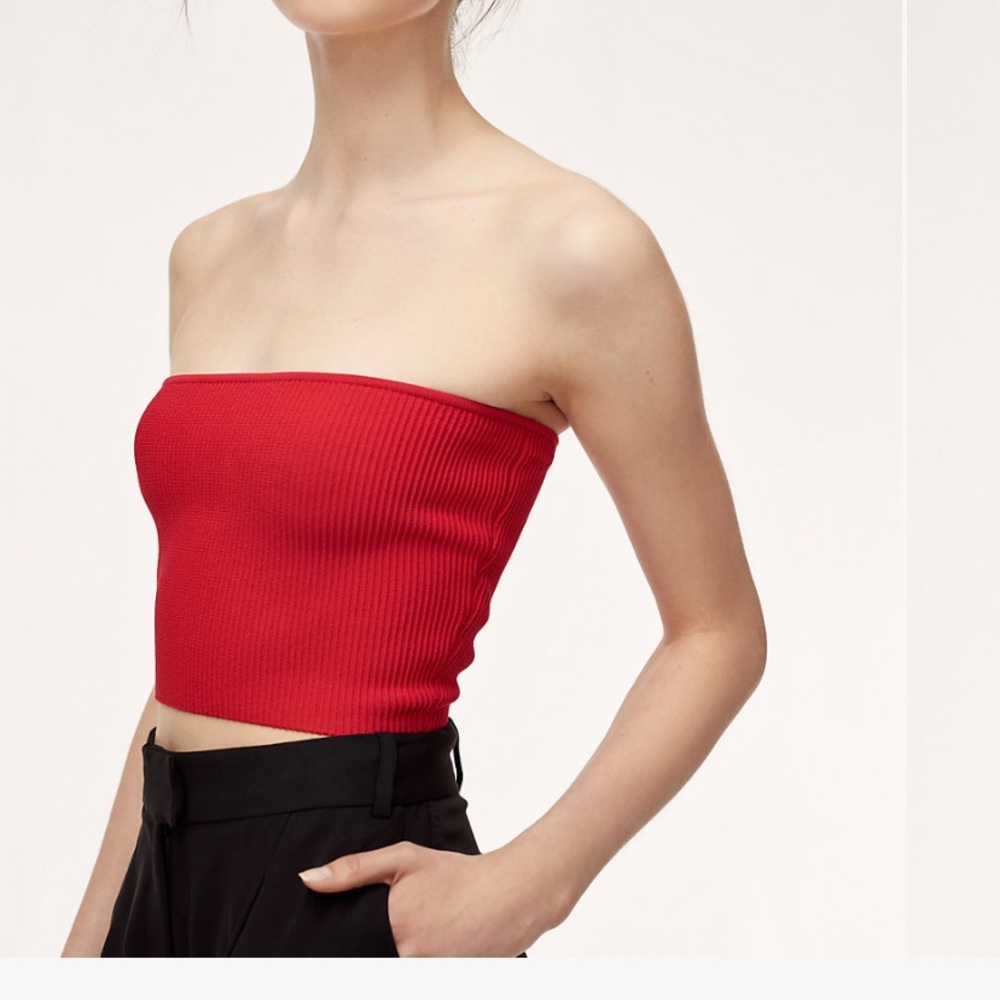 ARITZIA Babaton Essamba tube top
